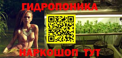 шишки Кунгур