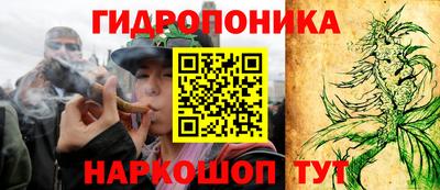 шишки Кунгур