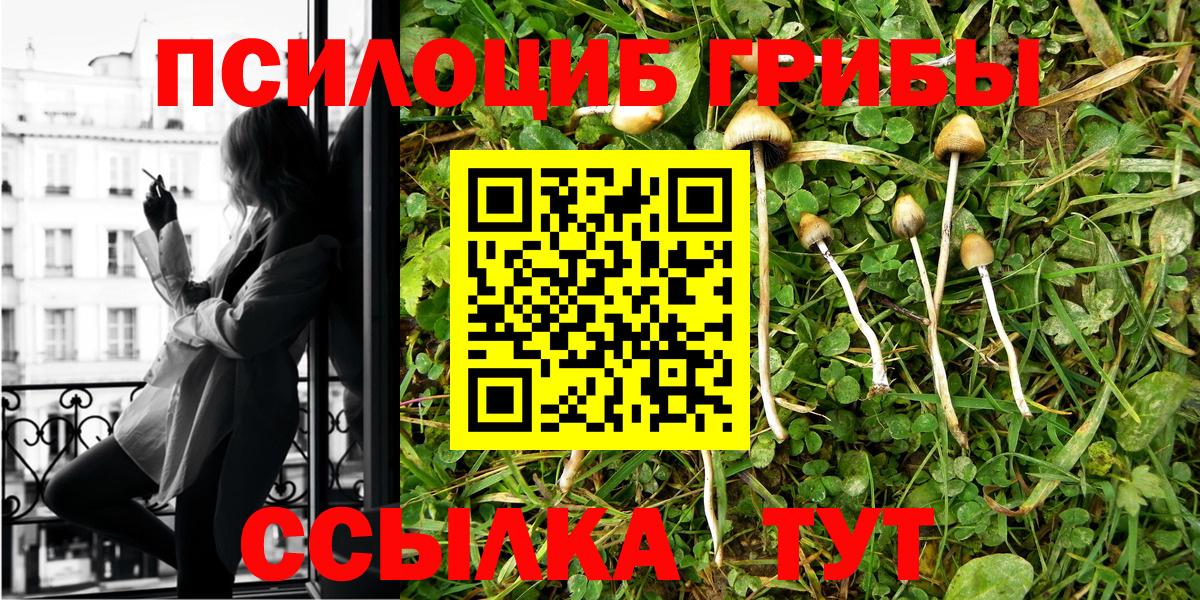 Псилоцибиновые грибы мухоморы Урус-Мартан