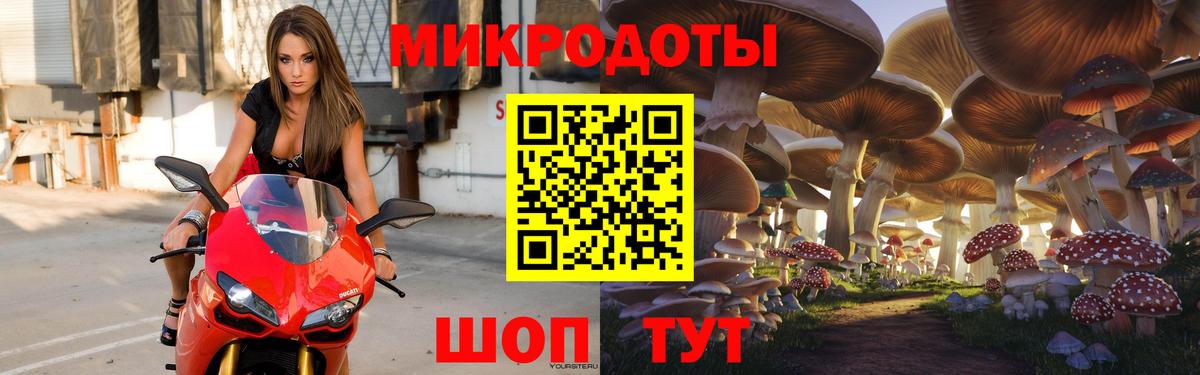 Галлюциногенные грибы Cubensis  Вход с VPN  Урус-Мартан  Галлюциногенные грибы Cubensis 